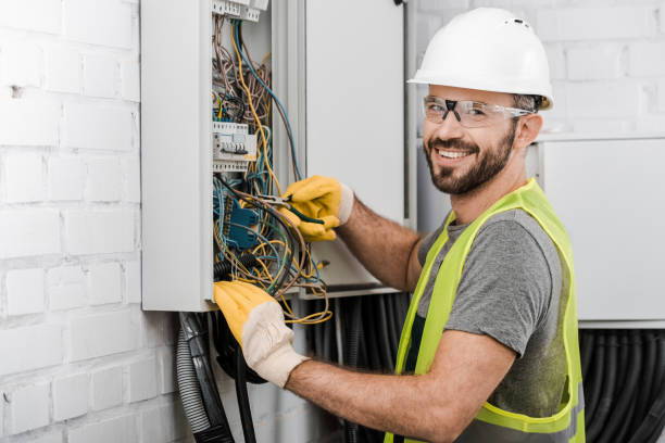 Best Electric Panel Repair  in Greenville, VA